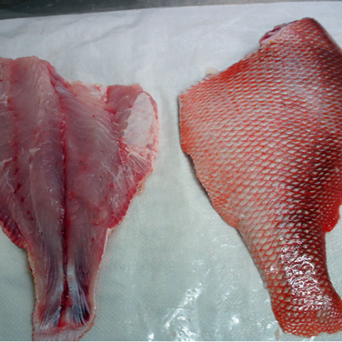 FCS04 - Snapper Chunks
