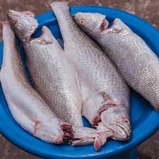 WF07 - Cassava Fish