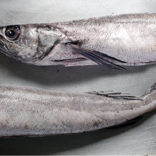FCS07 - Hake Chunks